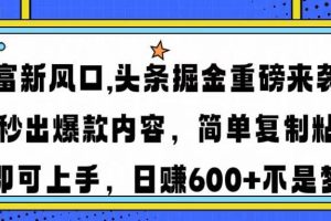 （14434期）财富新风口,头条掘金重磅来袭AI秒出爆款内容简单复制粘贴即可上手，日…