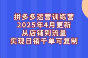 （14469期）拼多多运营训练营2025年4月更新，从店铺到流量，实现日销千单可复制