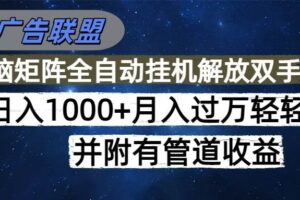 （16208期）海外广告联盟每天几分钟日入1000+无脑操作，可矩阵并附有管道收益